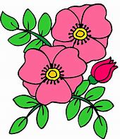Clipart Blumen
